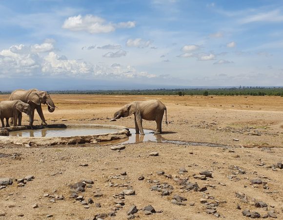 Discovery Kenya