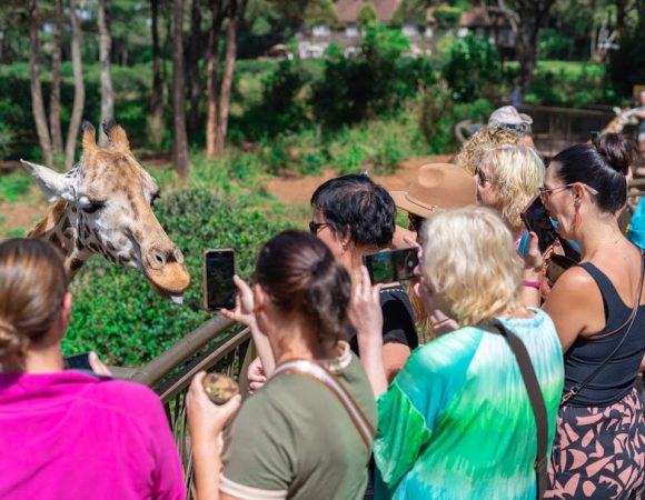 Kenyan Wildlife Culture & Beach Tour (Lodges and Camping) 10 Days